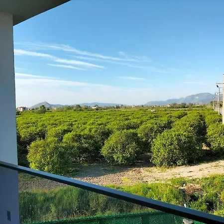 Liz Ortaca (Mugla)